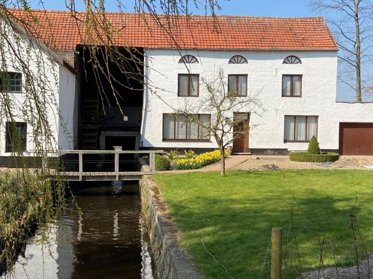 מסיק Vakantiewoning Wurfeldermolen מראה חיצוני תמונה