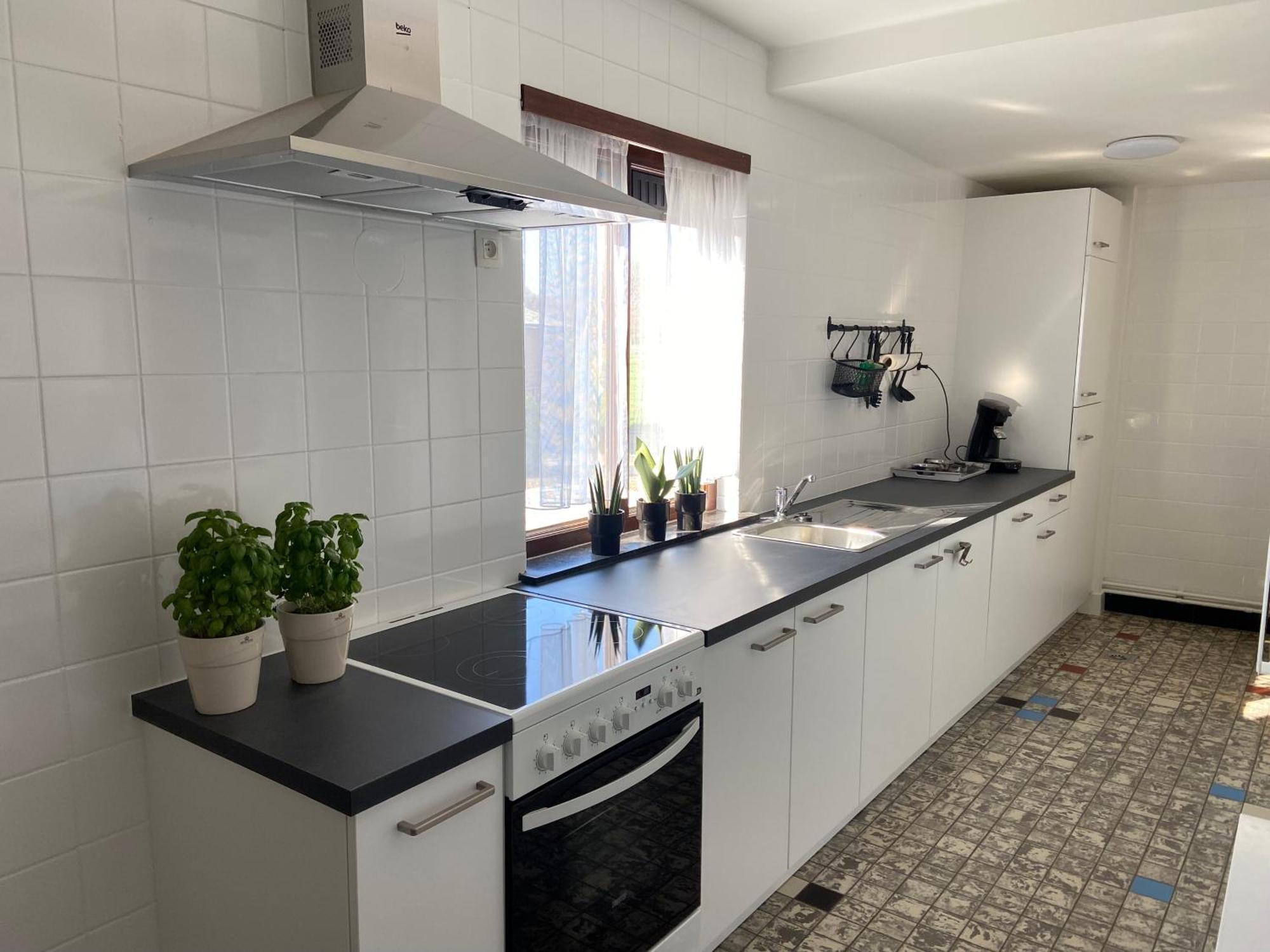 מסיק Vakantiewoning Wurfeldermolen מראה חיצוני תמונה